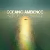 vagally vakans - OCEANIC AMBIENCE ~ INFINITE RESONANCE